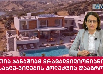 “ნათია ჯანაშიამ მრავალმილიონიანი სასახლე-ვილების კოლექცია დააგროვა”