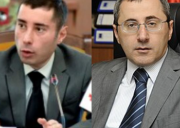 როგორ შეიძლება ადეიშვილის გამო მე მკრძალავდე და მისი დასაყრდენი, ვასილ როინიშვილი ამ დარბაზში კონსტიტუციურ მართლმსაჯულებას ახორციელებდეს – ანა წითლიძე