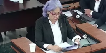 მაინტერესებს რა საფრთხეს წარმოვადგენ, მე, მაია კოპალეიშვილი, რომელიც მთელი ჩემი ცხოვრება სამართკიანობისთვის ვიბრძვი – მაია კოპალეიშვილი