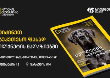 National Geographic საქართველო ძაღლების სამყაროს საიდუმლოებებს ახალ სპეციალურ გამოცემაში გვიამბობს