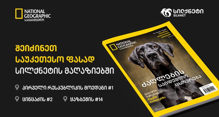 National Geographic საქართველო ძაღლების სამყაროს საიდუმლოებებს ახალ სპეციალურ გამოცემაში გვიამბობს