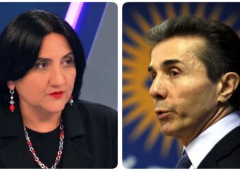 “პირადად გთხოვთ: შეაჩეროთ” – ინაშვილის მიმართვა ივანიშვილს