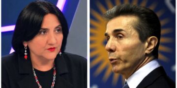“პირადად გთხოვთ: შეაჩეროთ” – ინაშვილის მიმართვა ივანიშვილს