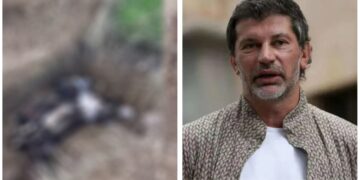 “ცხოველთა სამარხების გახსნა უკანონოა” – მერიის განცხადება