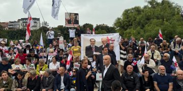 რიყის პარკში ენმ–ის აქციაა
