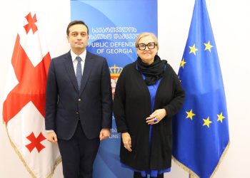 სახალხო დამცველი გერმანიის ელჩს შეხვდა