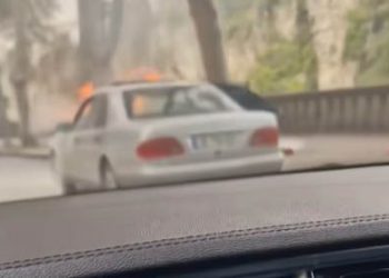 (ვიდეო) – სანაპიროზე ავტომობილს ცეცხლი გაუჩნდა