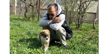 “სიკვდილ-სიცოცხლის ზღვარზე არიან გორიდან წამოყვანილი ლეკვები. ახლა უმძიმეს ფაზაში ვართ…” – მიშა კაჭკაჭიშვილი
