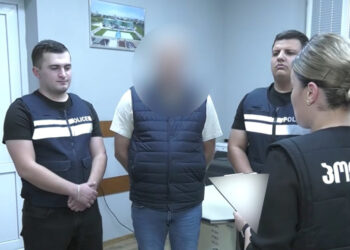 49 500 ლარის თაღლითურად დაუფლების ბრალდებით ერთი პირი დააკავეს