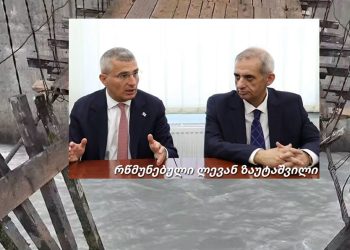 “107 880 ლარი მხოლოდ ერთ წელში სახლის რემონტში აქვთ დახარჯული, 173 770 ლარი მიიღო გასესხებული თანხების დაბრუნების შედეგად” – სალომე სიმონია