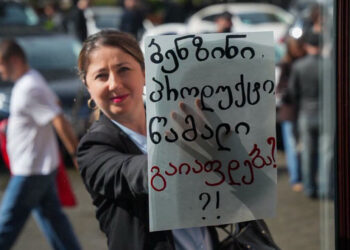 “ჩემი კითხვა საკონსტიტუციო სასამართლოდან” – თეონა ჭალიძე