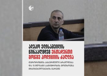 ელისაშვილის წინააღმდეგ ერთადერთი მოწმე პოლიციის ძაღლია – TI-ს დასკვნით, პროკურატურამ პოლიტიკოსს საქმე „შეუკერა“