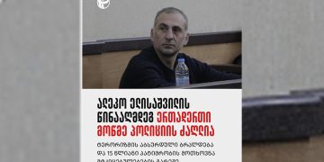 ელისაშვილის წინააღმდეგ ერთადერთი მოწმე პოლიციის ძაღლია – TI-ს დასკვნით, პროკურატურამ პოლიტიკოსს საქმე „შეუკერა“